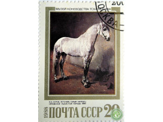 letucii-seryi-zerebec
