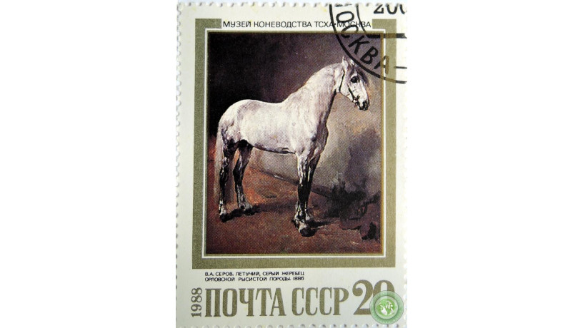 letucii-seryi-zerebec-big-0