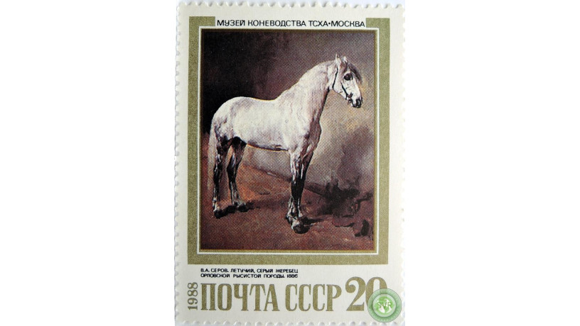 letucii-seryi-zerebec-big-1
