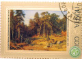 sosnovyi-bor-small-1