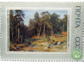 sosnovyi-bor-small-0