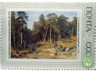 sosnovyi-bor