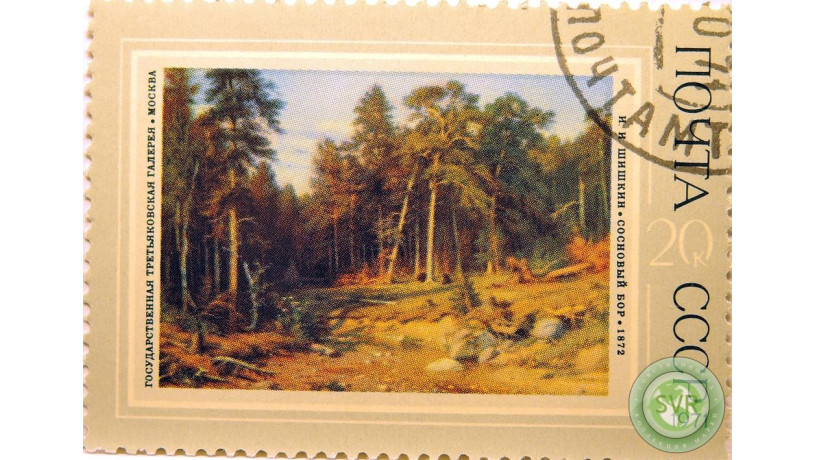 sosnovyi-bor-big-1