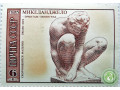 mikelandzelo-skorcivsiisia-malcik-small-0