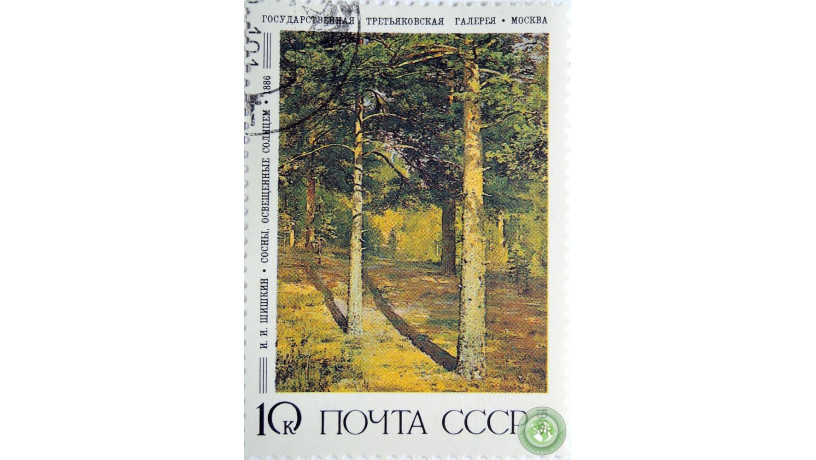 iisiskin-sosny-osveshhennye-solncem-big-1