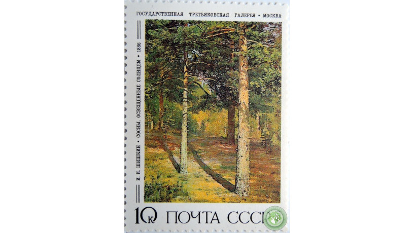 iisiskin-sosny-osveshhennye-solncem-big-0