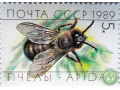 pcely-small-1