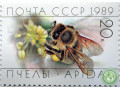 pcely-small-2