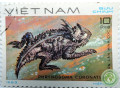 phrynosoma-coronatum-small-0