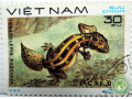 gadiukovyi-gekkon-teratolepis-fasciata-small-0