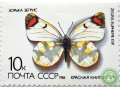 zorka-zegris-small-0