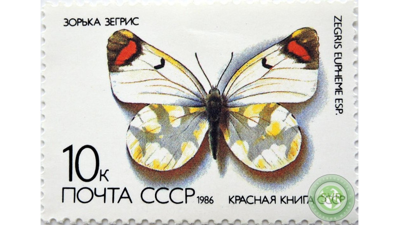 zorka-zegris-big-0