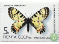 zerintiia-kavkazskaia-small-0