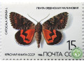 lenta-ordenskaia-malinovaia-small-0