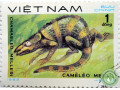 xameleon-mellera-small-0