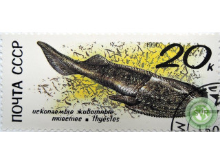 iskopaemoe-zivotnoe