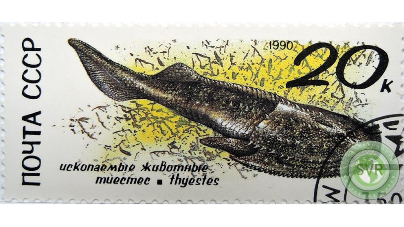 iskopaemoe-zivotnoe-big-0