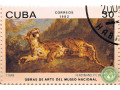 tigr-small-0