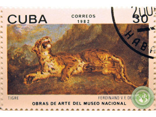 tigr