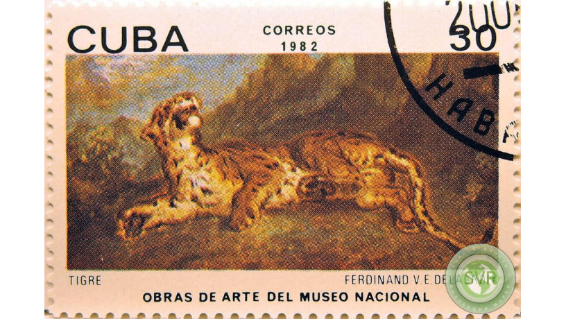 tigr-big-0
