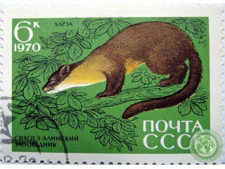 xarza
