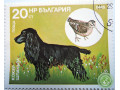 oxotnici-porody-sobak-small-0