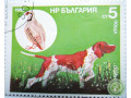 oxotnici-porody-sobak-small-3