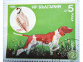 oxotnici-porody-sobak-small-1