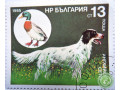 oxotnici-porody-sobak-small-2