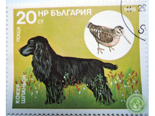 oxotnici-porody-sobak