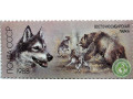 vostocnaia-laika-small-0