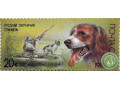 russkii-oxotnicii-spaniel-small-0