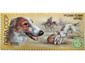 russkaia-psovaia-borzaia-small-0