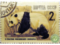 kitaiskaia-panda-small-1
