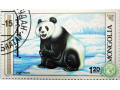 kitaiskaia-panda-small-0
