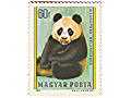 kitaiskaia-panda-small-2