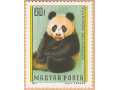 kitaiskaia-panda-small-3