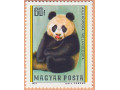 kitaiskaia-panda-small-4