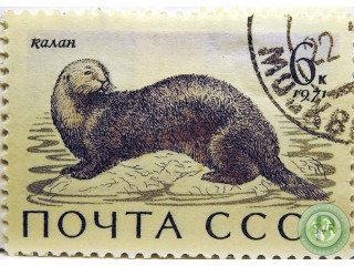 kalan