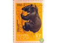 cernyi-medved-small-1