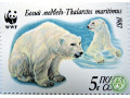belyi-medved-small-1