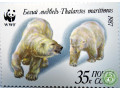 belyi-medved-small-2