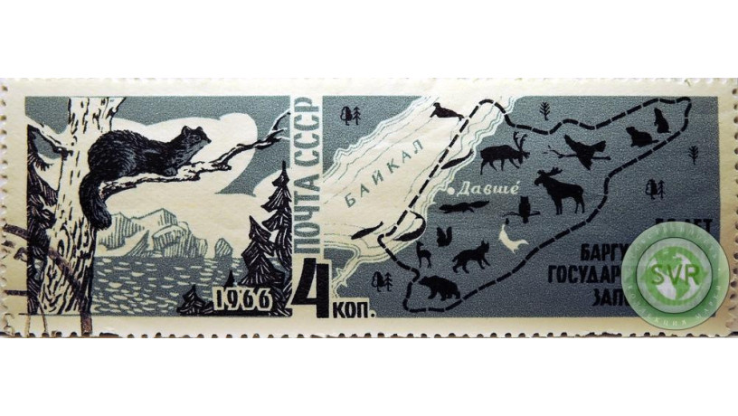 barguzinskii-zapovednik-big-1