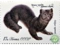 sobol-cernyi-small-0