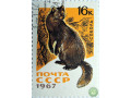 sobol-cernyi-small-1