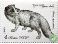 pesec-vualevyi-small-0