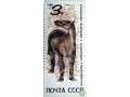 iskopaemoe-xalikoter-small-0