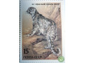 irbis-small-2