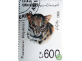 bengalskaia-koska-small-0