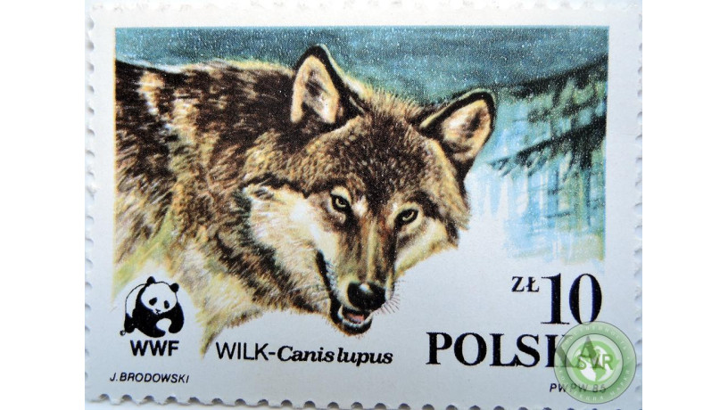 volk-big-0